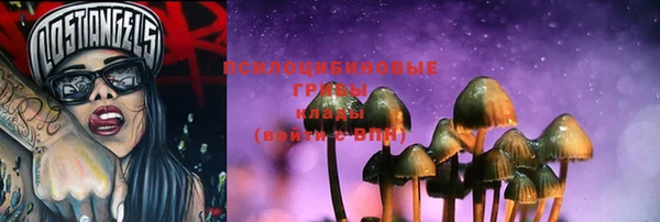 прущий лед Инта