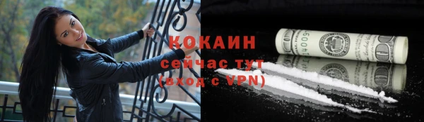 крисы Инсар