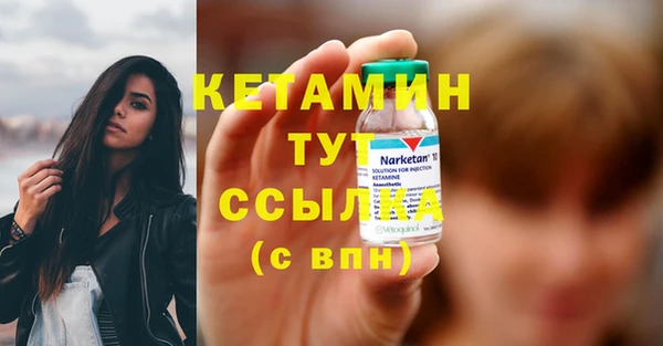 сатива Зеленокумск