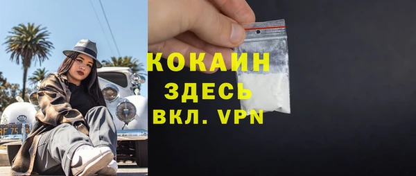 крисы Инсар