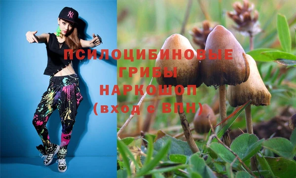 прущий лед Инта