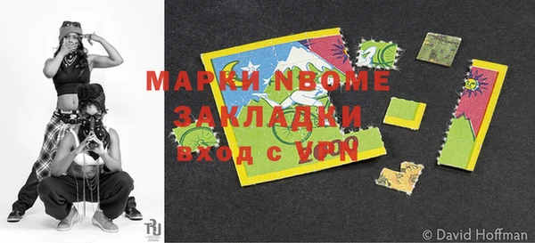 сатива Зеленокумск