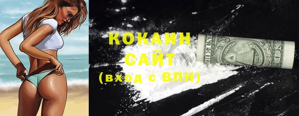 крисы Инсар
