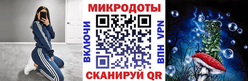 Купить где  Белебей  Псилоцибиновые грибы мицелий 