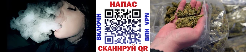 Канабис сатива  Купить где  Белебей 